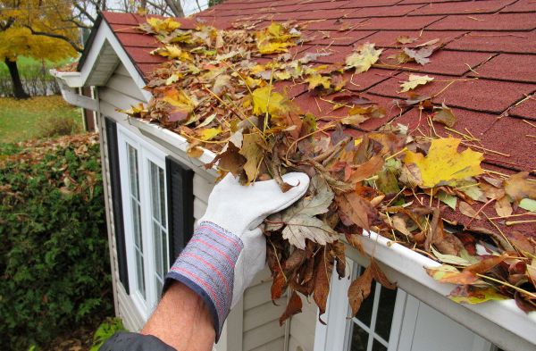 Rain Gutter Cleaning Service in Plant City