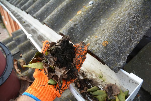 Seamless Gutter Cleaning in Plant City