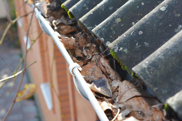 Home Gutter Cleaning in Plant City