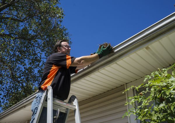 Cost of Eavestrough Clearing in Plant City
