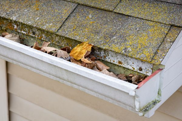 Cost of Garage Gutter Cleaning in Plant City