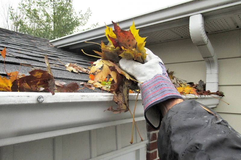 Cleaned Gutter System