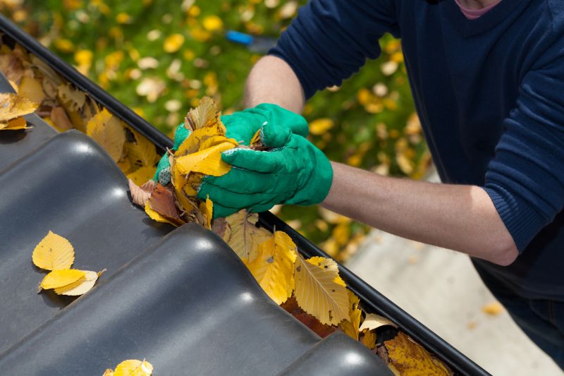 Gutter Leaves Removal