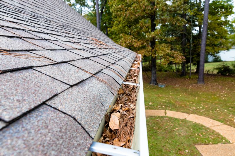 Gutter Pine Needle Removal