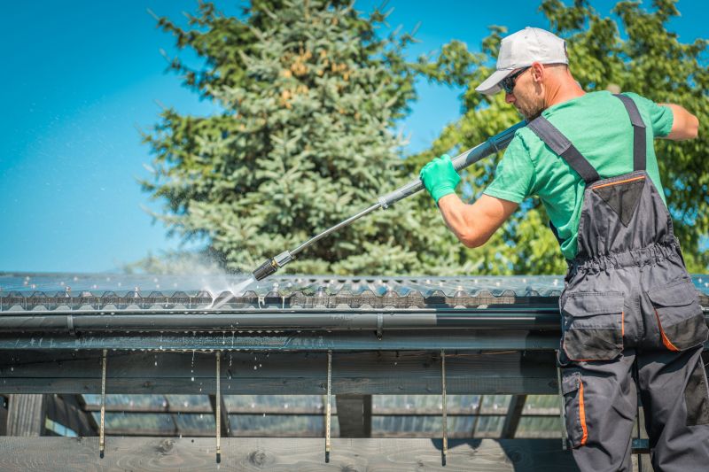 Local Gutter Cleaning Experts